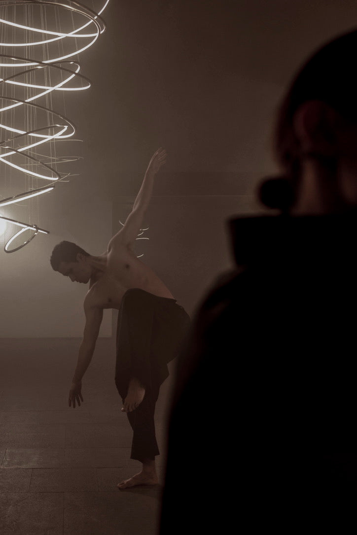 Danza y Luz