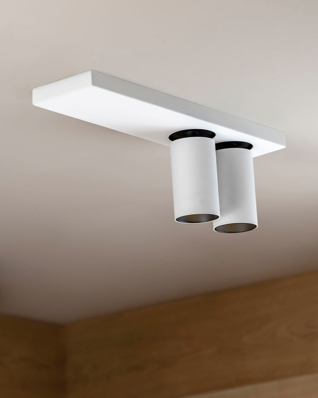 Luminaria de techo moderna blanca con dos focos cilíndricos instalada en interior