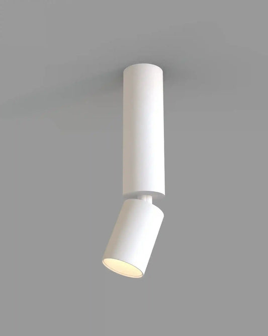 Luminario blanco cilíndrico de techo moderno Birot MX para boutique de iluminación